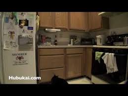 Make sure you react the very first time your kitty hops up and never reward her with attention while she is on the counter. It Is Really Annoying When Cats Jump On Counter Tops Because They Are Constantly Knocking Things Over And Creatin Kitchen Counter Cat Urine Smells Cat Training