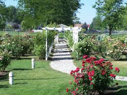 Boasting about 7,000 rose plants in 550 different varieties, international rose test garden helps portland live up to its nickname the city. Rose Garden At Luby Park Facility Directory Multi Select Categories Map Caldwell Id