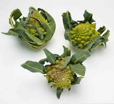 Romanesco broccoli (also known as roman cauliflower, broccolo romanesco, romanesque cauliflower or simply romanesco) is an edible flower bud of the species brassica oleracea. Romanesco Rezepte Naturkost Schniedershof Ihr Biokisten Lieferservice Vom Niederrhein