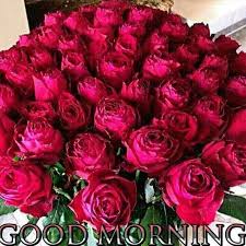 Just imagine how good the day will be, if your loved ones will get a sweet good morning messages from you. Good Morning To All My Friends With Flowers Steemit