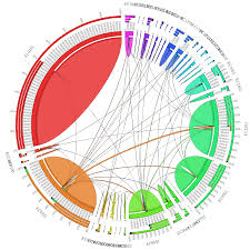Circos Table Viewer Circular Visualization Of Tabular Data With Circos Circular Genome Data Visualization