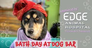 Authement took ownership and has been happily caring for dogs and cats at our facility ever since. Bath Day At Dog Bar The Dog Bar