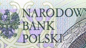 Zlot finance to euro convertion. Polish Zloty Loses Its Shine