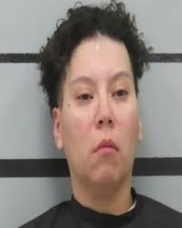 CASTILLO, ROXANNE LEE 10/27/2024 Age: 36 Charges: OBSTRUCTION OR  RETALIATION (ON VIEW) ASSAULT DOMESTIC VIOLENCE (ON VIEW) INTERFERE  W/EMERGENCY REQ FOR ASSISTANCE (ON VIEW) RESIST ARREST SEARCH OR TRANSPORT  (ON VIEW) Arresting
