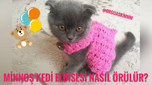Minnos Kedi Elbisesi Nasil Orulur Youtube