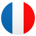 So it showed an airoplane and the blue white red flag and 'ain't nobody got time for that!'. Flag For France Emoji