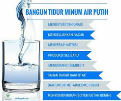 Menurut jurnal frontiers in human neuroscience, kalau anda minum air sahaja selama 30 hari, otak anda akan bertindak lebih. Kerohanian Kebaikan Minum Air Putih Ketika Perut Kosong Facebook