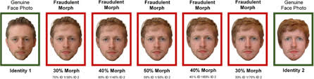 Do not adjust magnify the smallest reduce the biggest crop the biggest. How To Morph Faces