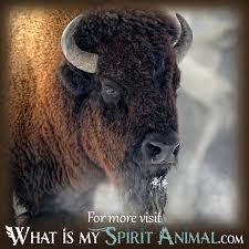 It finds its origins in old english, from latin camelus. Buffalo Dream Meanings Symbolism Animal Dream Symbols