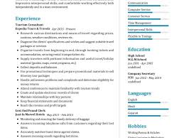 Cvmaker.com has been visited by 10k+ users in the past month Tourism Consultant Resume Sample 2021 Writing Tips Resumekraft