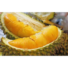 Cara menentukan waktu musim durian tiba dan alasan tahun ini durian tidak banyak beredar. Durian Prices And Promotions Aug 2021 Shopee Malaysia