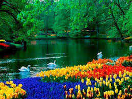 See Pixiz 720x540 Download Hd Wallpaper Wallpapertip