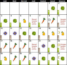 Le calendrier lunaire bien ordonné, chaque jour vous pouvez déterminer la phase lunaire et y compris les numéros de semaine. Calendrier Lunaire Juin 2013 Pour Jardiner Avec La Lune