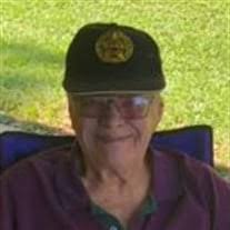 Robert Phelps Obituary (2024)