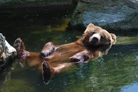 Info@koelnerzoo.de postadresse aktiengesellschaft zoologischer garten köln postfach 68 03 69 50706 köln umsatzsteuer. Kolner Zoo Ene Besoch Im Zoo
