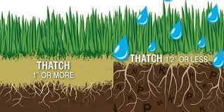 You can check this by taking a small garden trowel or a spade and digging up a section of your lawn to check the turf (you can replace it when you're done). Benefits Of Dethatching And Aerating Your Lawn Milorganite