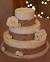 Teal Western Wedding Cakes
