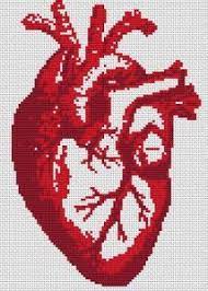 This is a pattern for an anatomically correct human heart. Cross Stitch Patterns Free Cross Stitch Patterns Stitch Patterns Cross Stitch