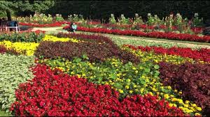Videos Zum Stadtpark Gutersloh Botanischer Garten Gutersloh