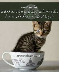 Nbsp Funny Jokes Jokes Funny