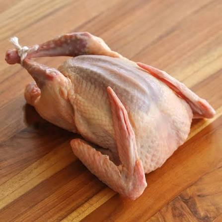 Product Photo: Squab