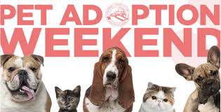 We did not find results for: Pet Adoption Weekend At The Union Animal Shelter May 1 And 2 Tapinto