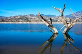 Also, fishes like black crappie, channel catfish, and bluegill are quite common here. 12 Best Crappie Fishing Lakes In California Best Fishing In America