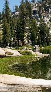 Download Free Hd Wallpaper From Above Link Nature Sequoianationalparkwallpaper Sequoianationalparkwallpaperhd Sequ Sequoia National Park Wallpaper Sequoia