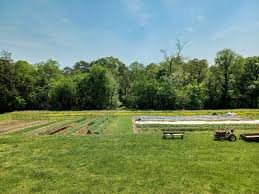 Image result for tbn:0PJB32OL7JwfOM::farm4.static.flickr.com/3324/3329876139_f2d551139f.jpg