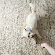 Basically, you need to make the dog follow a path with the treat which causes him rollover. Teach Your Dog To Roll Over In 5 Steps