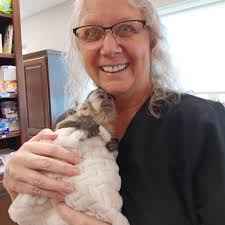 Plain City Animal Hospital