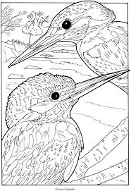 Some we found were free, but were not very realistic or good for coloring. Pin On Animals To Color