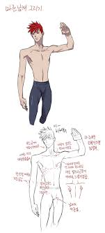 This is an anatomically correct model i created for reference use. 310 Character Anatomy Male Ideas Character Design Anatomy Man Anatomy