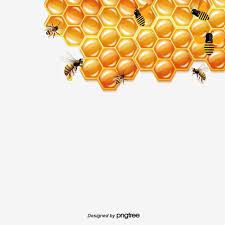 من ناحية رسم كرتون خلية نحل العسل الأصفر ناقلات اليد ناقلات الكرتون ناقلات النحل Png وملف Psd للتحميل مجانا Bee Clipart Honey Bee Hives How To Draw Hands