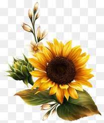 One To The Sun Flowers Sunflower Yellow Green Leaves Buds Sun Green Leaves Picture Clipart Sunny Clipart Shar Sunflower Pictures Flower Painting Flower Drawing