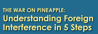 Intuitive fred888: U.S. cybersecurity agency uses pineapple pizza to  demonstrate vulnerability to foreign influence