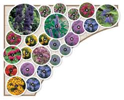 Preplanned Garden Packages Butterfly Garden Design Flower Garden Layouts Butterfly Garden