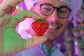 Growing Strawberries in the Desert — AGRITECTURE