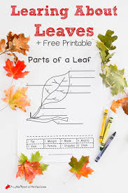 Pin On Kid Blogger Network Activities Crafts