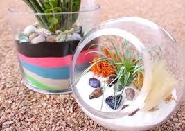 The only problem is decorating a home can be unbelievably expensive. Home Decor Craft Ideas Diy Sand Terrariums Kit Kraft