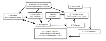 Athletes that excel at the highest levels seek advantages like the ones discussed in our list of books for athletes below. Sports Psychology History Theories And Applications