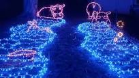 Lighted Hippo River First Illumination