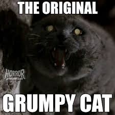 Church From Pet Sematary The Original Grumpy Cat Horror Movies Memes Scary Movies Horror Characters