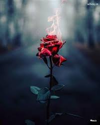 Express Love Images - Whoa.In