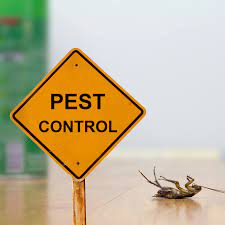 The company's principal activity is pest control services. Pest Control Singapore Pest Termites Bed Bugs Control