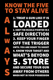 Image result for Gun Safety