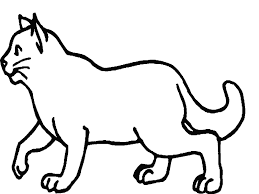 Animales Gatos Dibujos De Animales Paginas Para Colorear Gatito Para Colorear