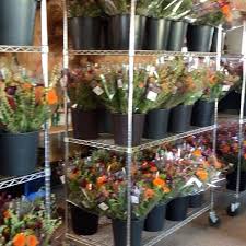 They will bloom again in: Roots Cut Flower Farm Home Facebook
