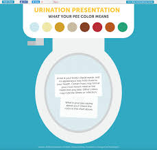 Infographic What Your Pee Color Means Penn State Pro