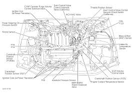 2 5 engine timing chain marks hello 2carpros i am. 97 Nissan Maxima Engine Diagram Way Traction Wiring Diagram Library Way Traction Kivitour It